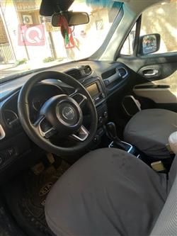 جيب رينيجيد